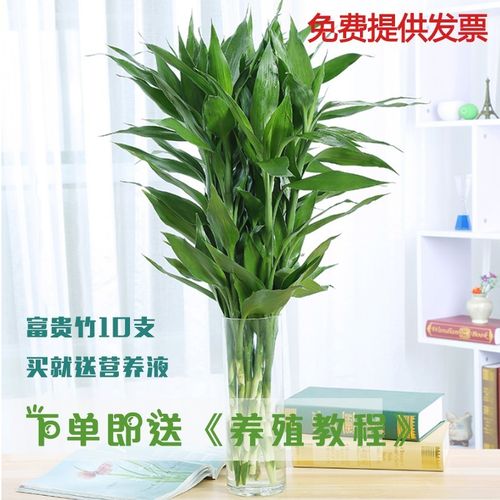 u=4136292753,97059484&fm=224&gp=0.jpg